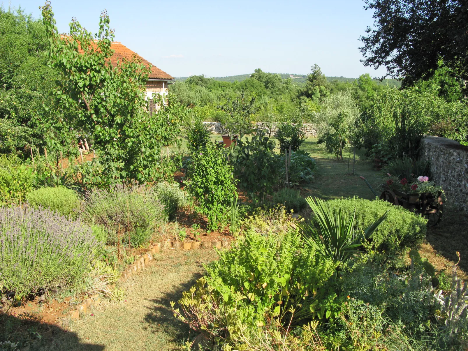 Smilja-Buiten