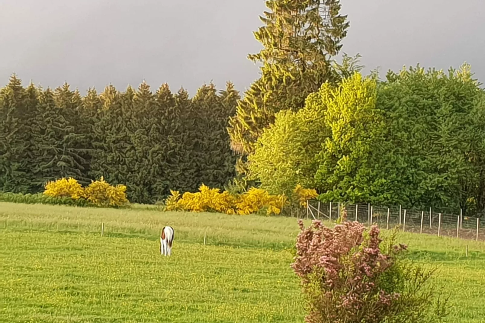 Chez Zélie-Uitzicht zomer