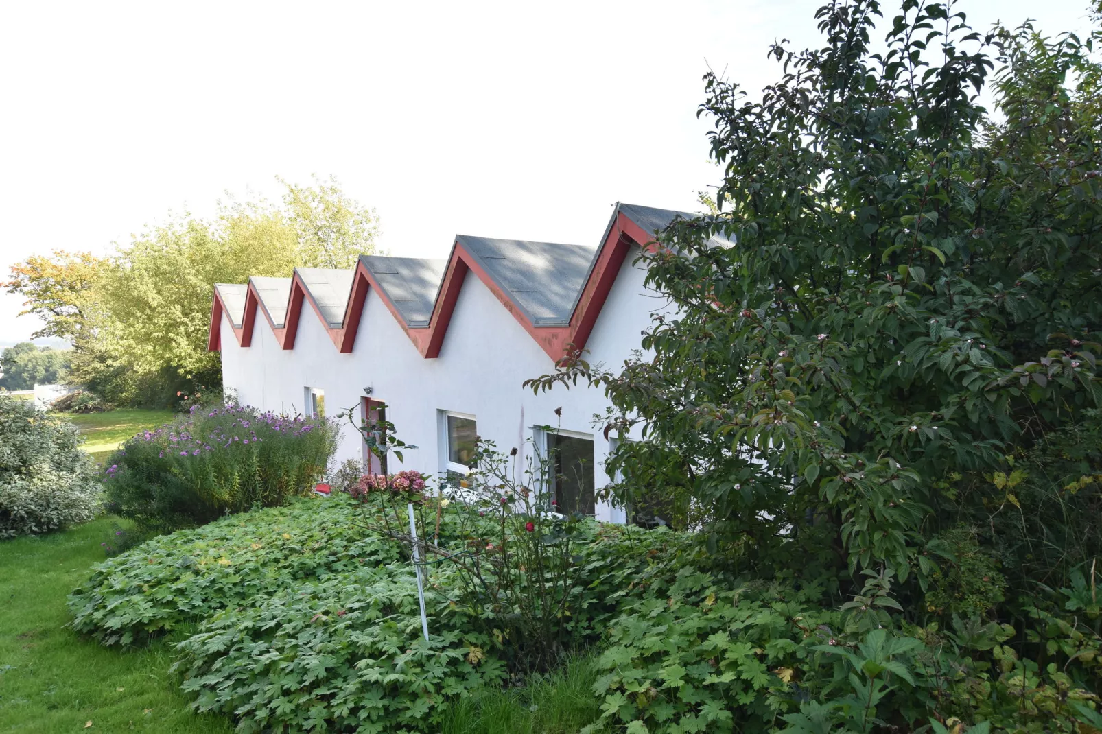 Ostseeblick Kühlungsborn mit Terrasse und Garten-Tuinen zomer