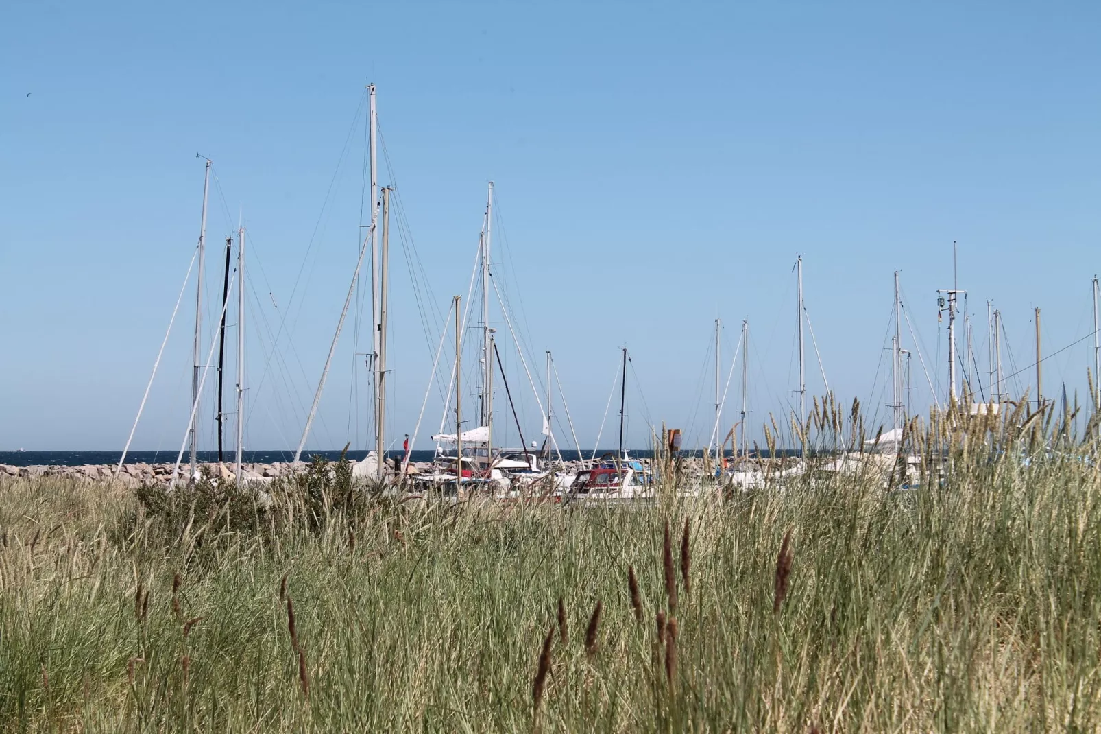 Ostseeblick Kühlungsborn mit Terrasse und Garten-Gebieden zomer 5km