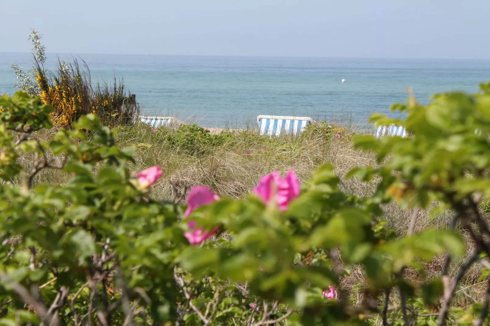 Ostseeblick Kühlungsborn mit Terrasse und Garten-Gebieden zomer 20km