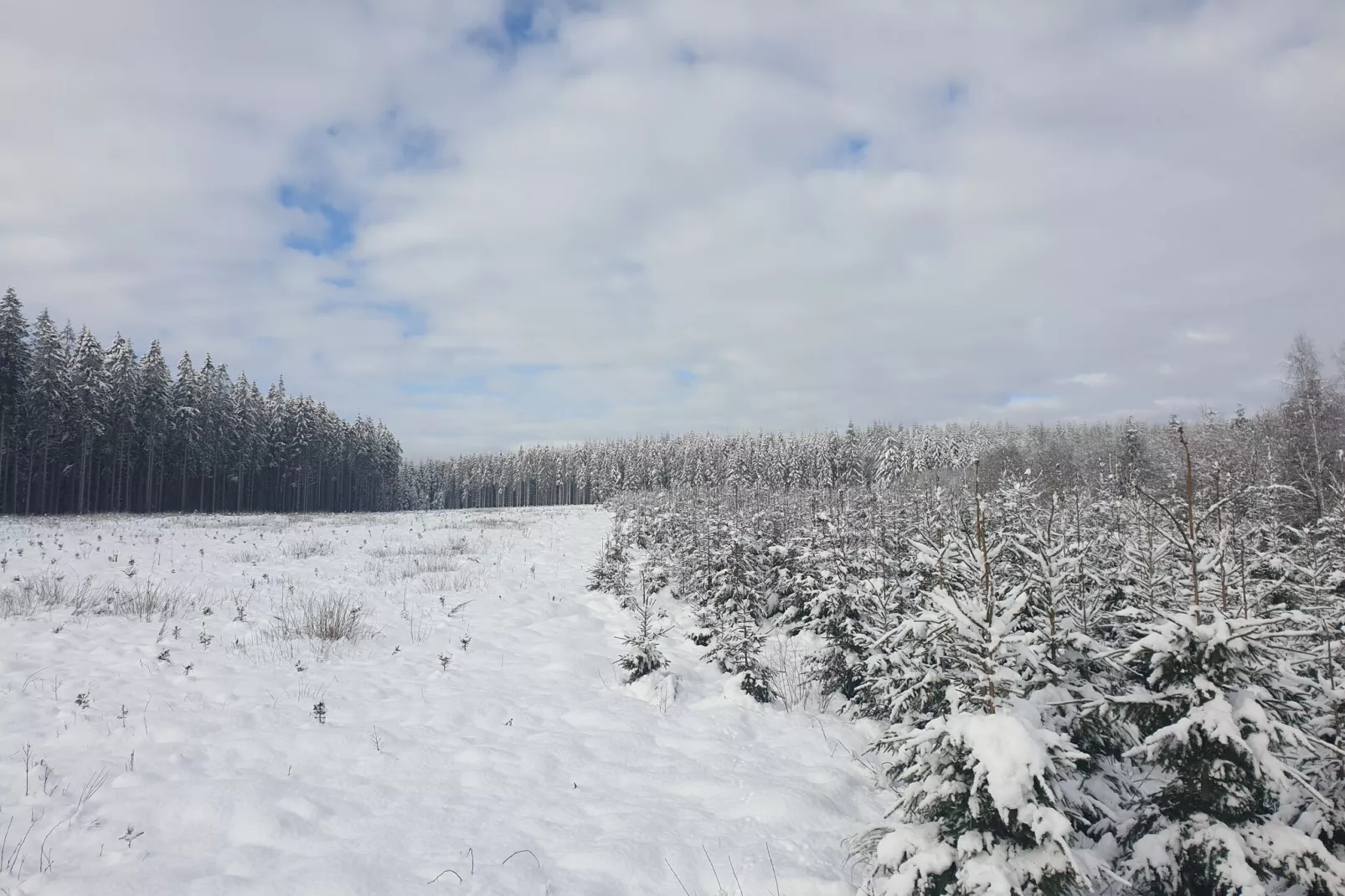 Chez Zélie-Gebied winter 20km