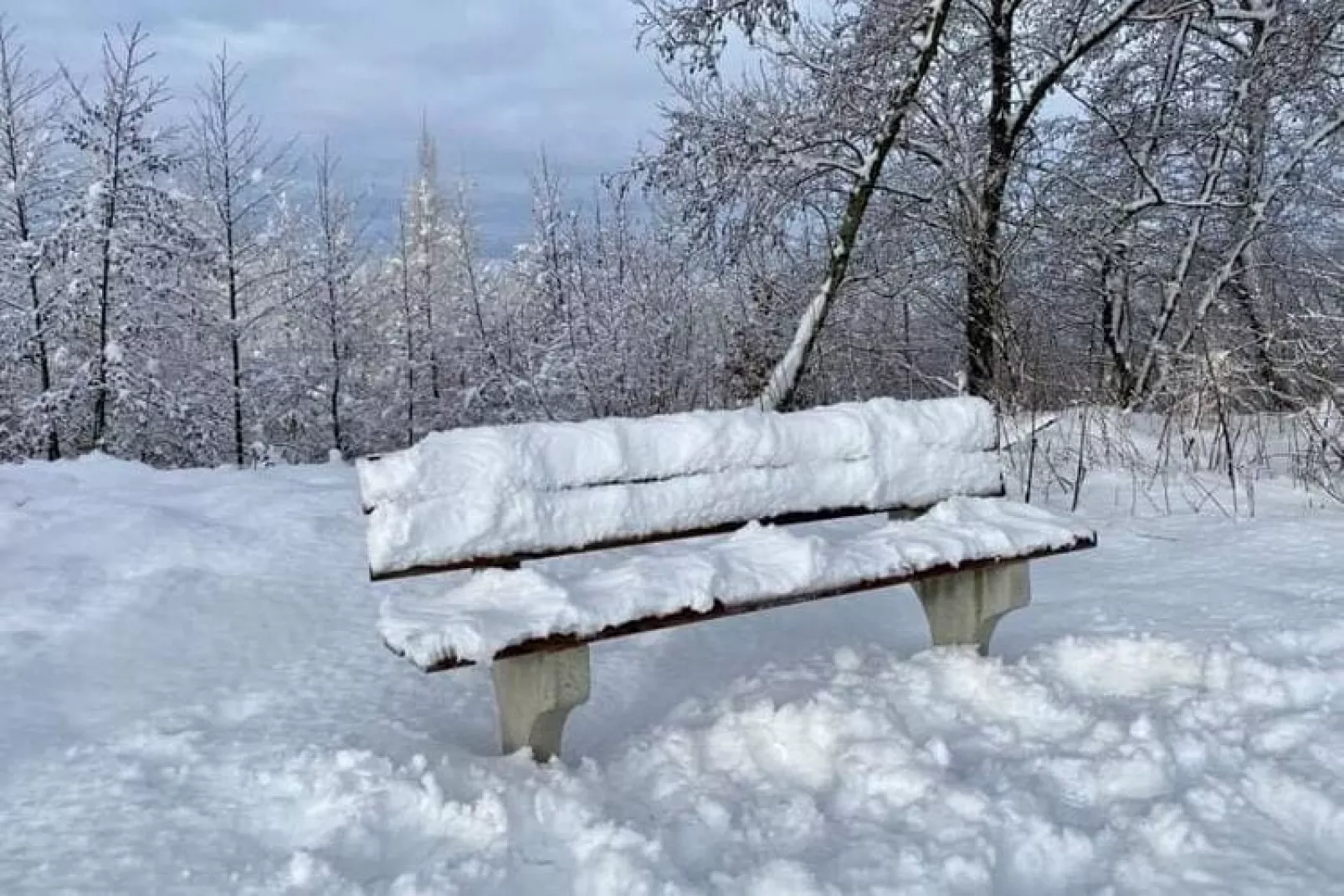 Chez Zélie-Gebied winter 20km