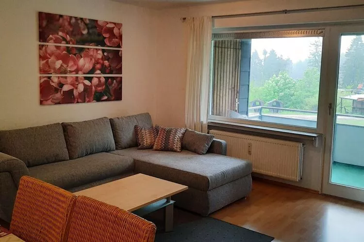Fewo an der Seilbahn-Woonkamer