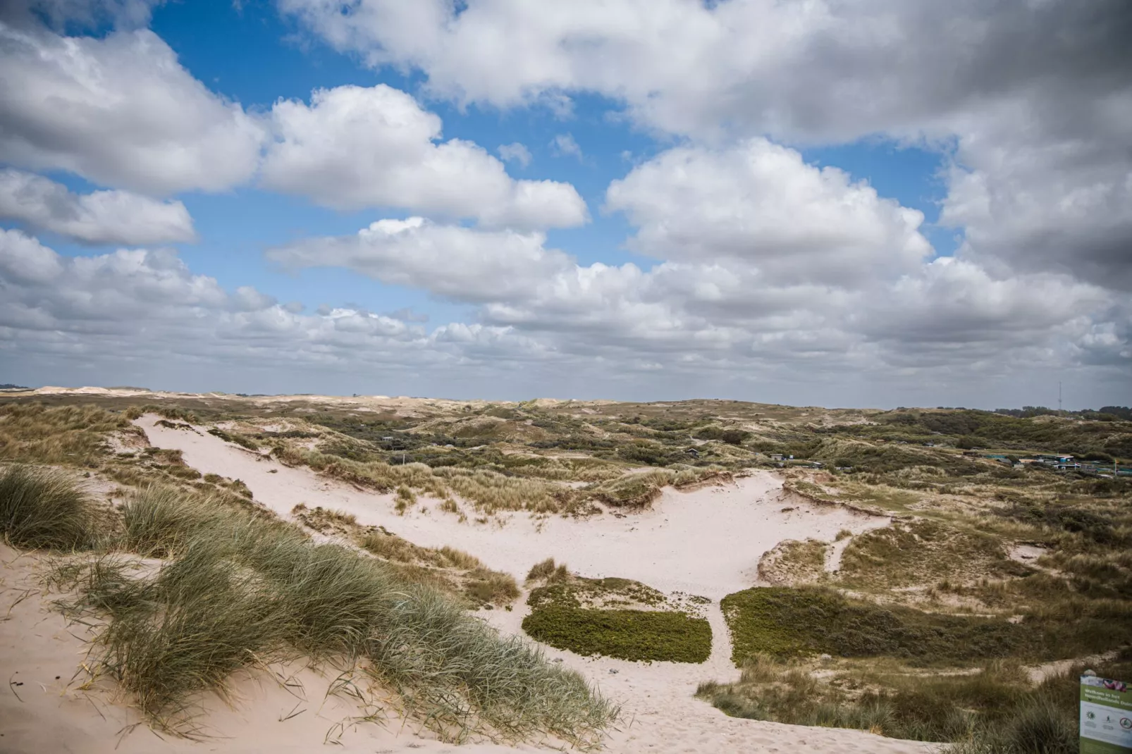 De ZeeParel Sea Life-Gebieden zomer 1km