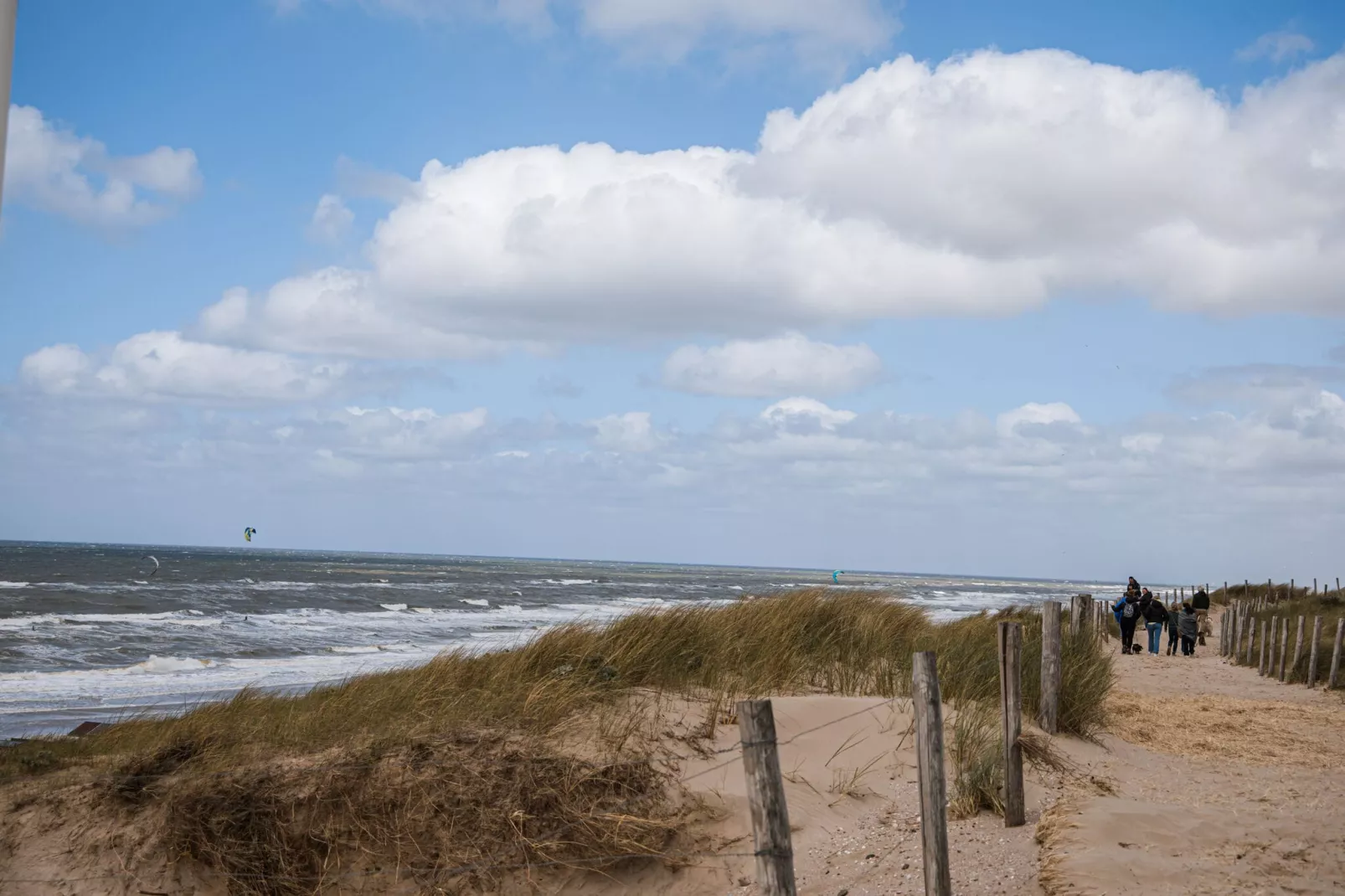 De ZeeParel Sea Life-Gebieden zomer 1km