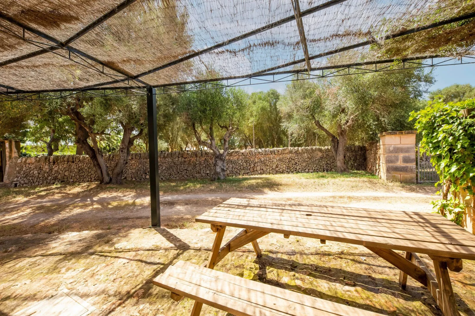 Casa del Pagès-Tuinen zomer