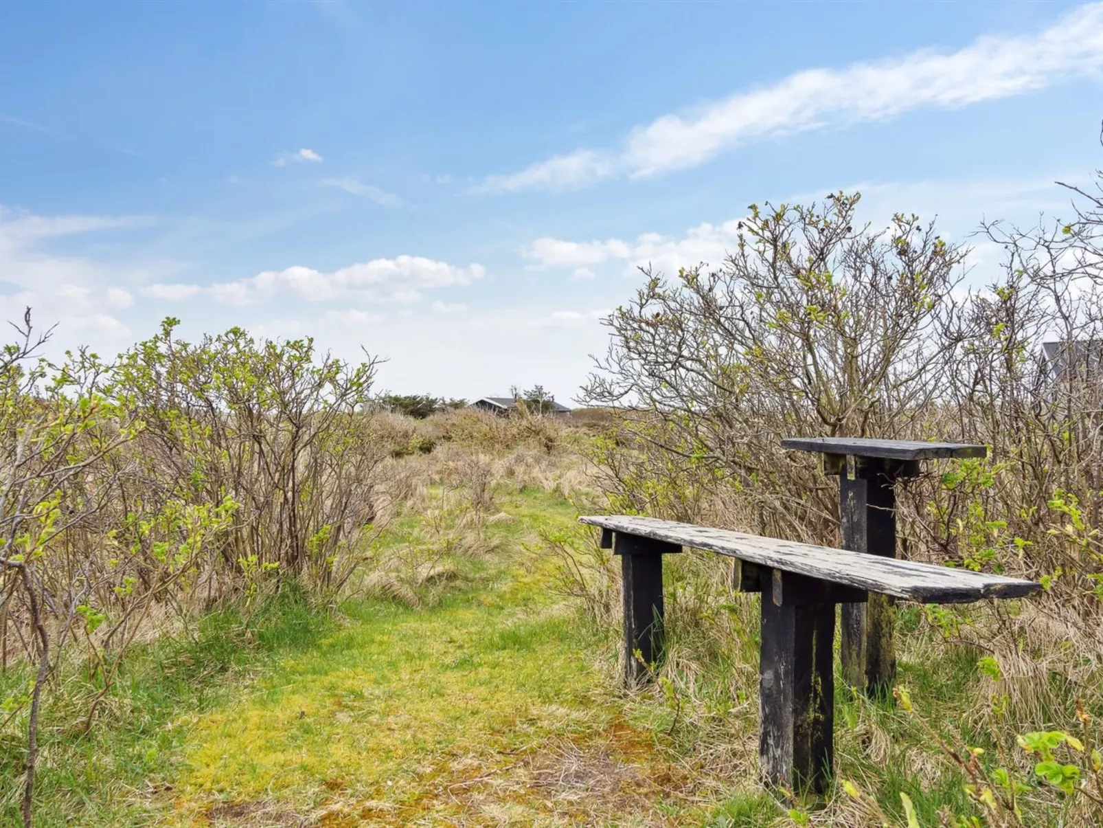 "Zina" - 600m from the sea-Buiten