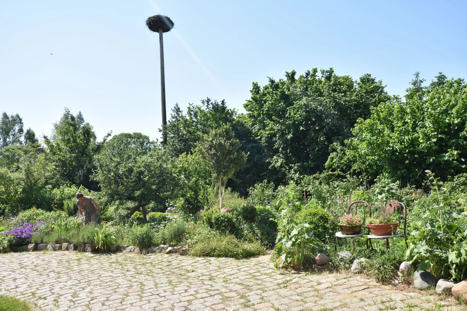 Familienferien Im Heumond  - 2 Schlafzimmer-Uitzicht zomer