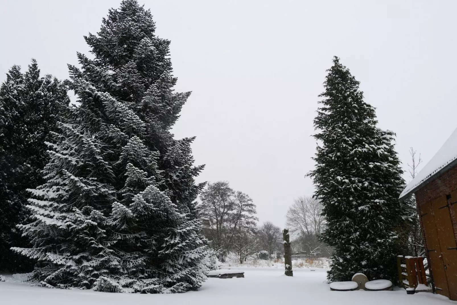 Unterniesemühle-Gebied winter 1km