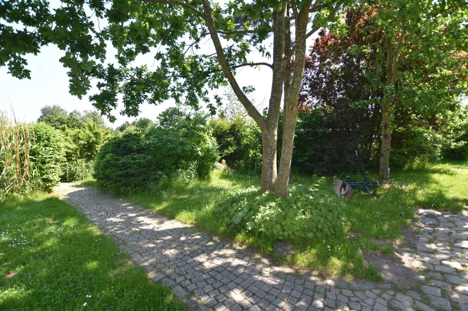 Familienferien Im Heumond  - 2 Schlafzimmer-Tuinen zomer
