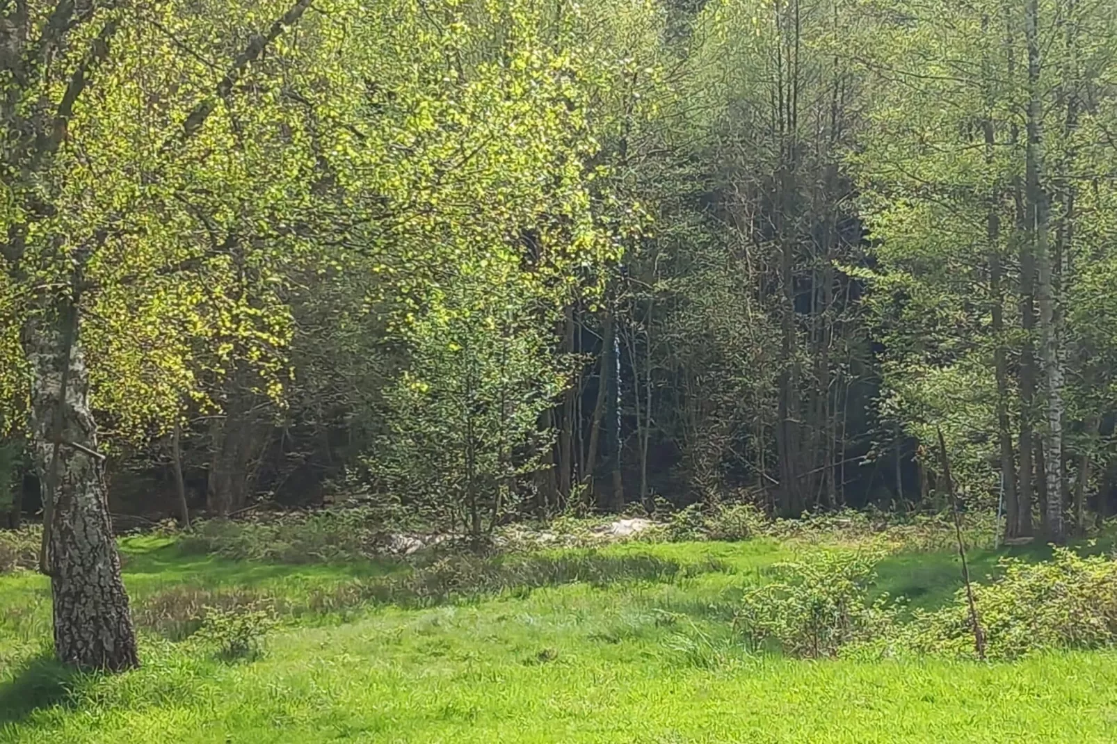 Ferienhaus mit eigener Bar am Bach in Saint Quirin-Gebieden zomer 1km