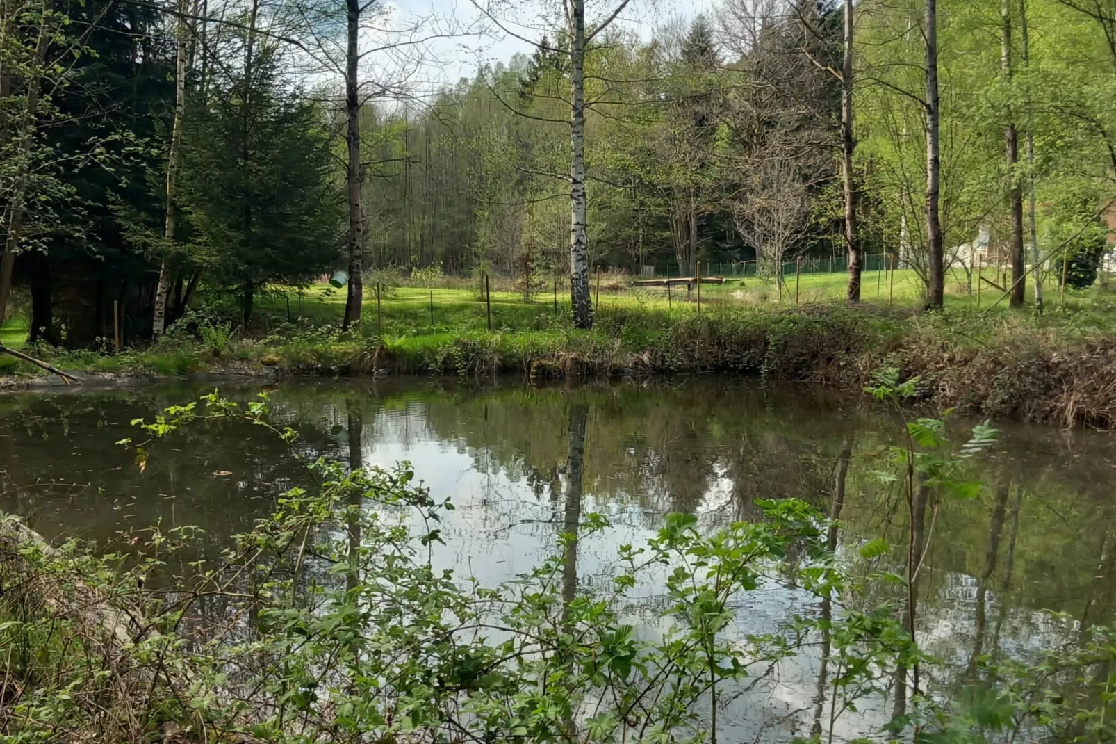 Ferienhaus mit eigener Bar am Bach in Saint Quirin-Gebieden zomer 5km