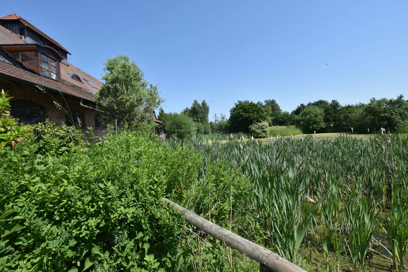 Die Besondere Ferienwohnung Bibliothek-Tuinen zomer