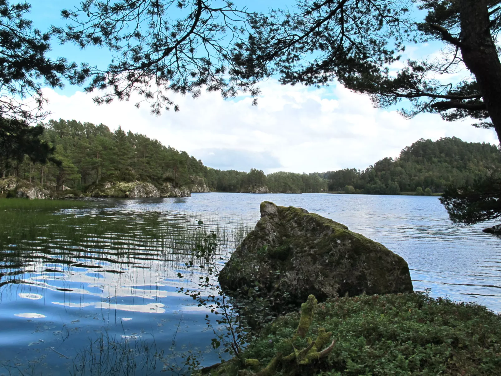 Grønnehytta-Buiten
