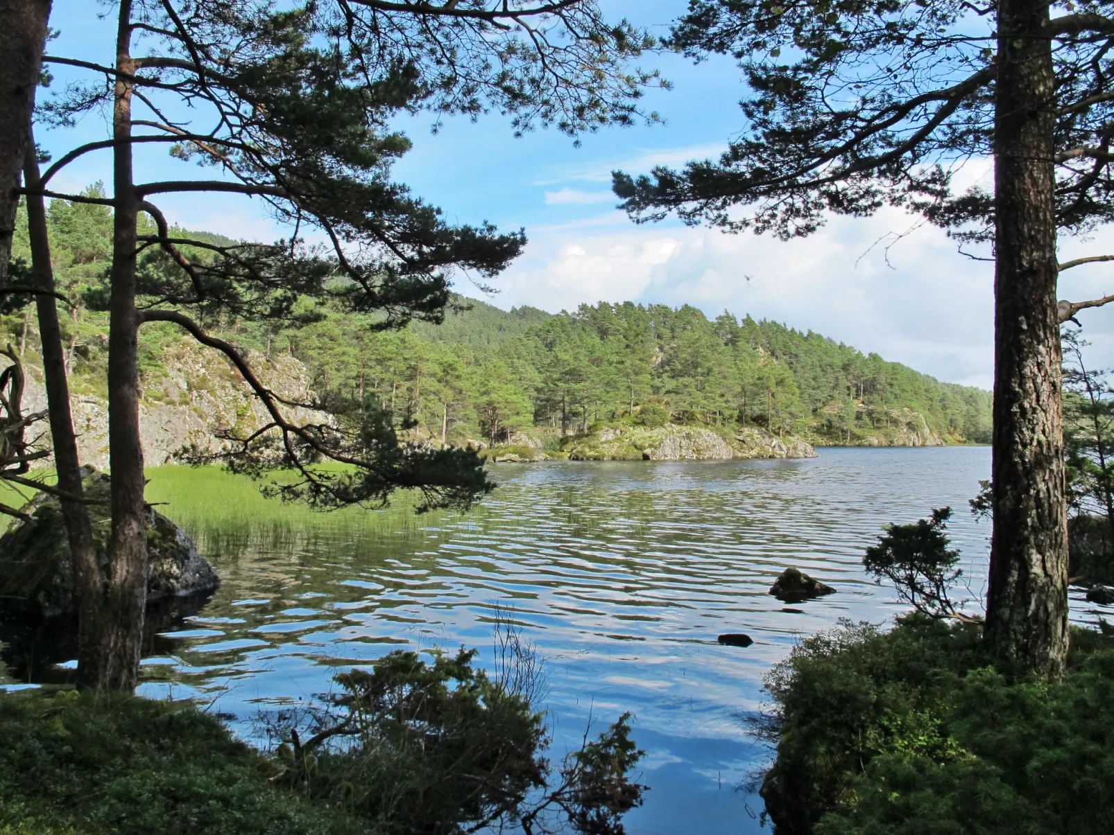 Grønnehytta (FJH606)-Buiten