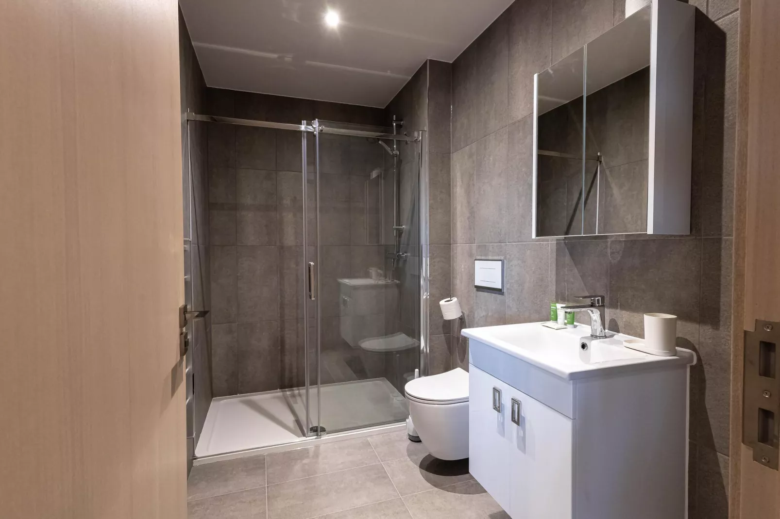 1 Bedroom Apartment Sofa Bed 1 Bathroom Milton Keynes-Badkamer