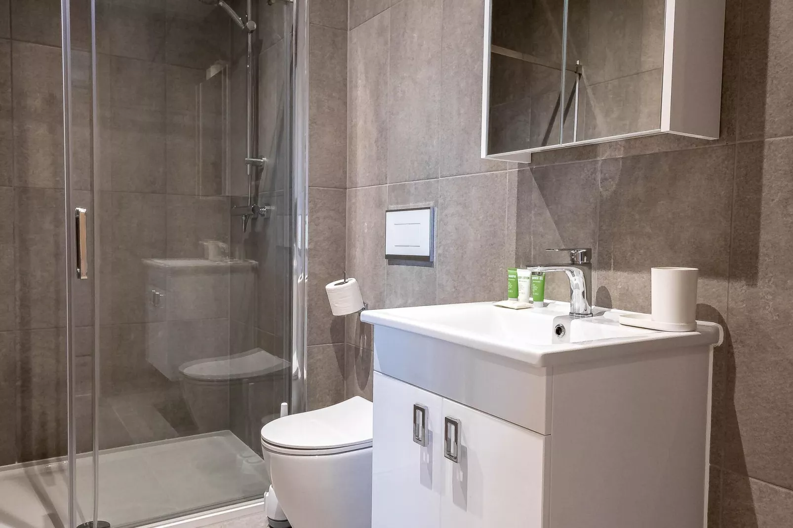 1 Bedroom Apartment Sofa Bed 1 Bathroom Milton Keynes-Badkamer