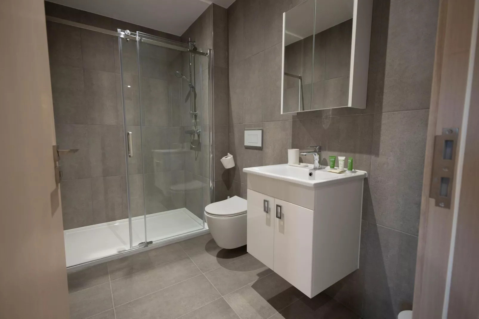 2 Bedroom Apartment 1 Bathroom Milton Keynes-Badkamer