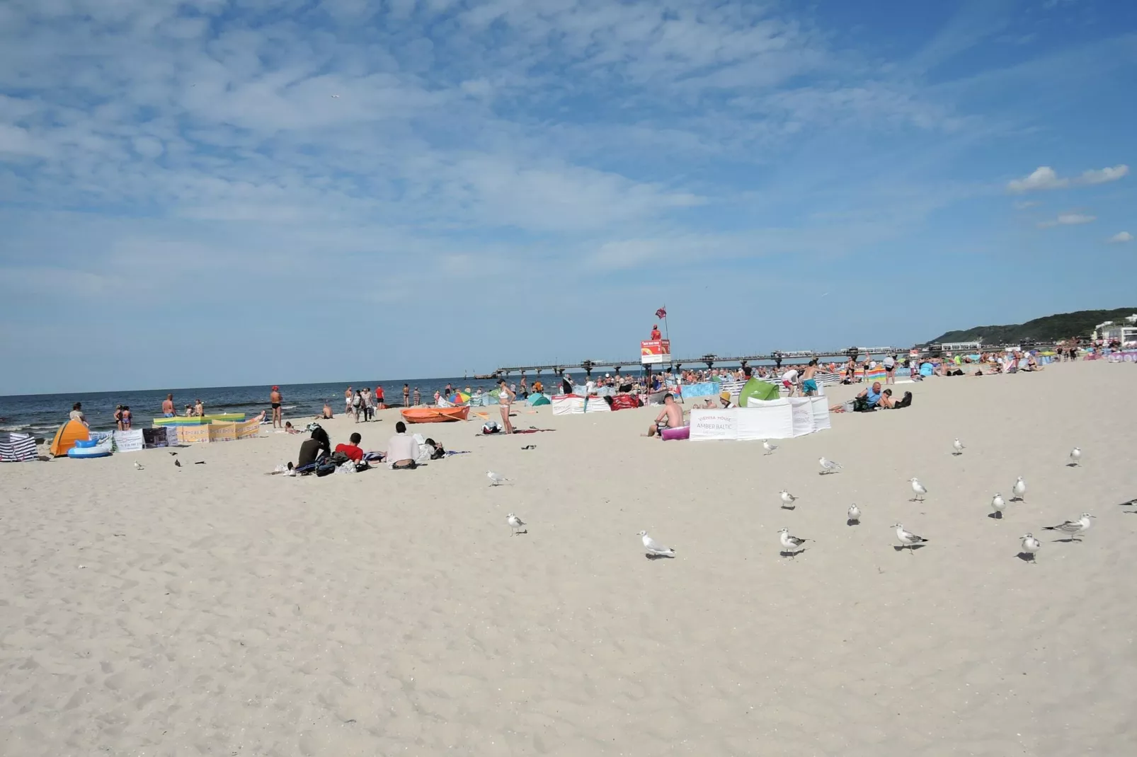 Domki Trebor dla 5 osób-Gebieden zomer 1km