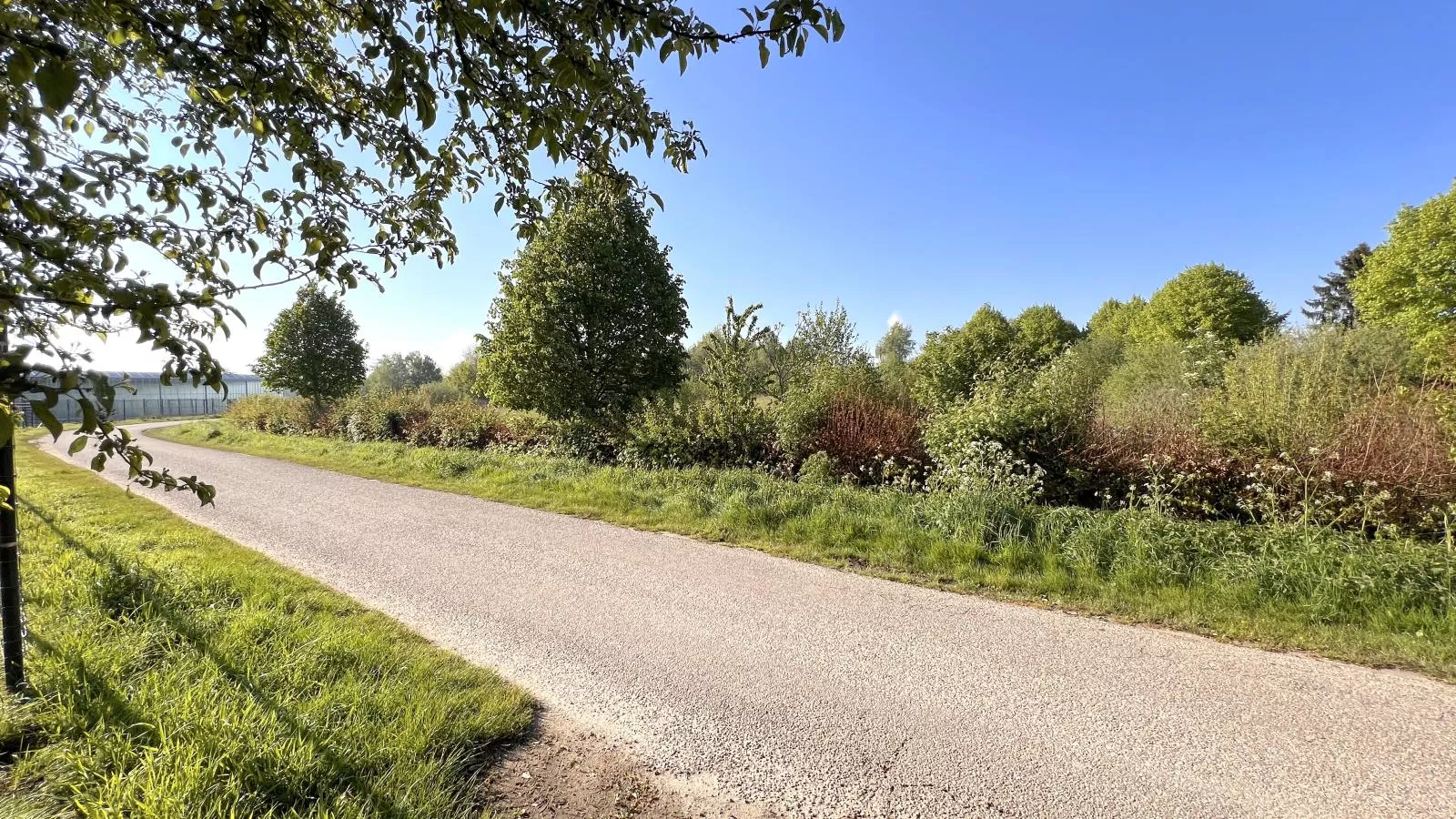 Het Edelhert-Gebieden zomer 1km