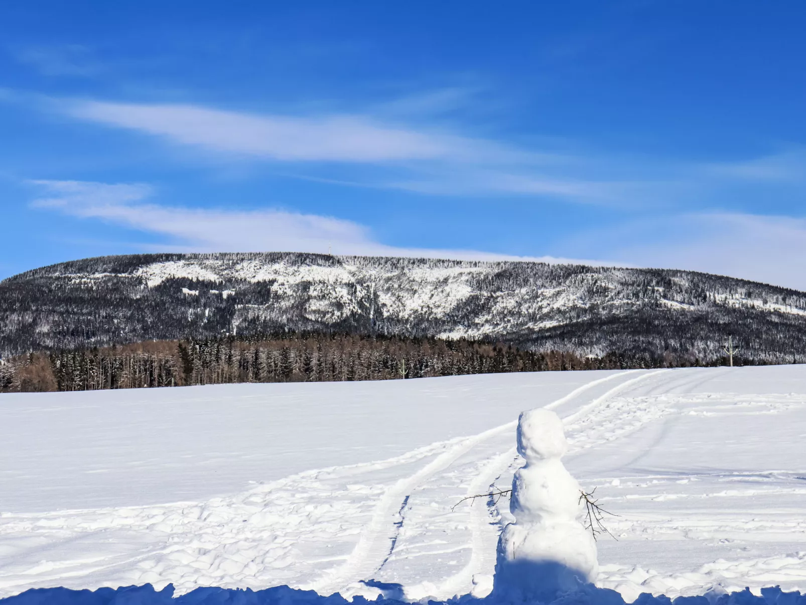 Holiday Hill-Omgeving