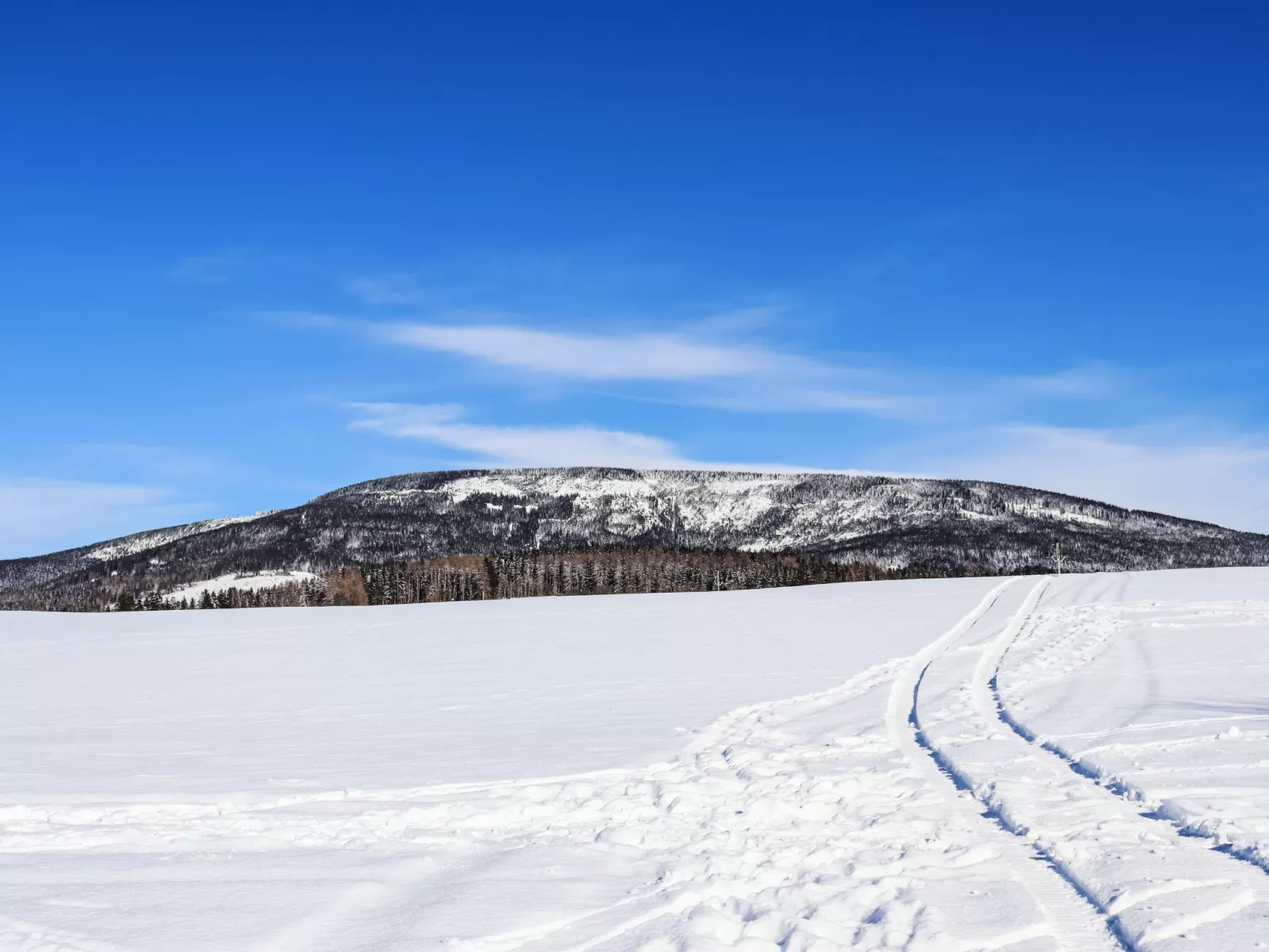 Holiday Hill-Omgeving