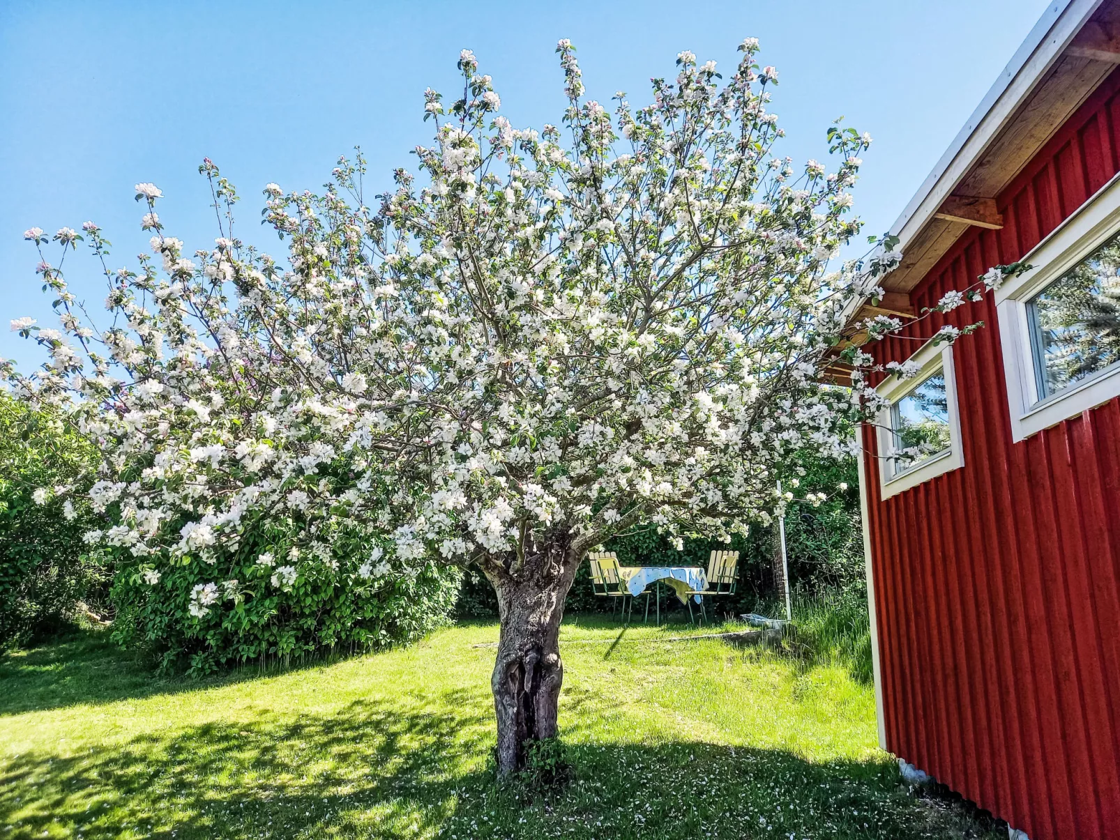 Fjällbacka-Buiten