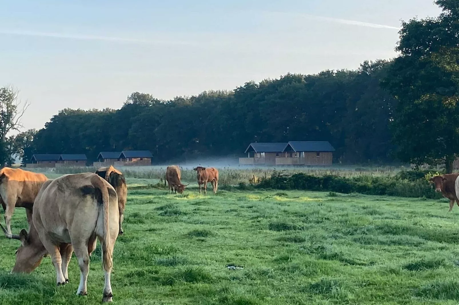 Sfeervolle Acker Lodge A-Uitzicht zomer