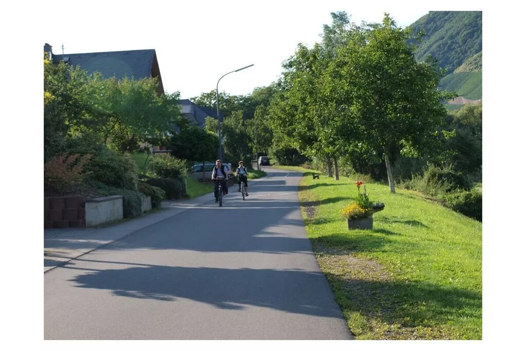 50387-Gebieden zomer 5km