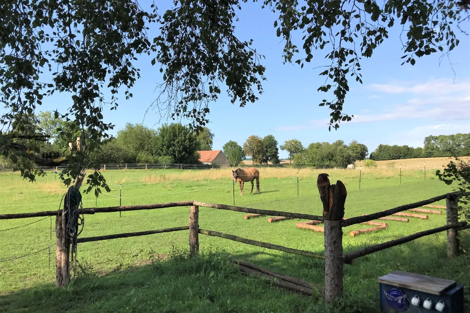 Ferienwohnung Am Alten Gutshof-Uitzicht zomer