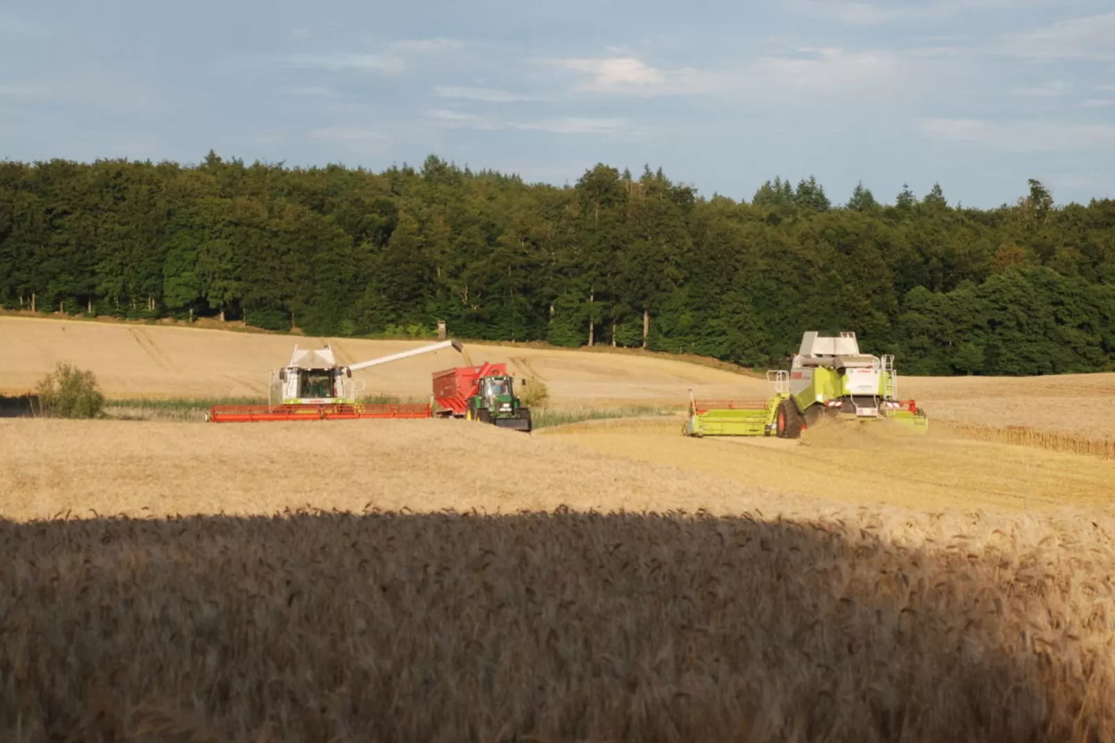 Ferienwohnung Am Alten Gutshof-Uitzicht zomer