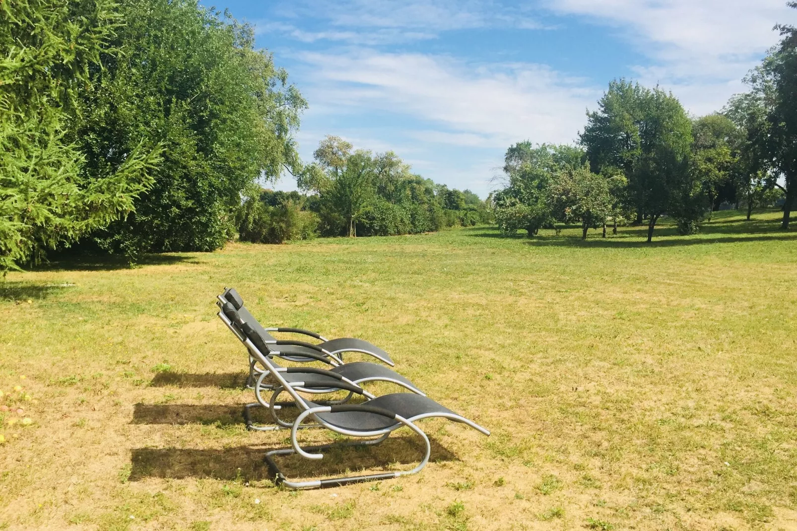 Ferienwohnung Am Alten Gutshof-Tuinen zomer