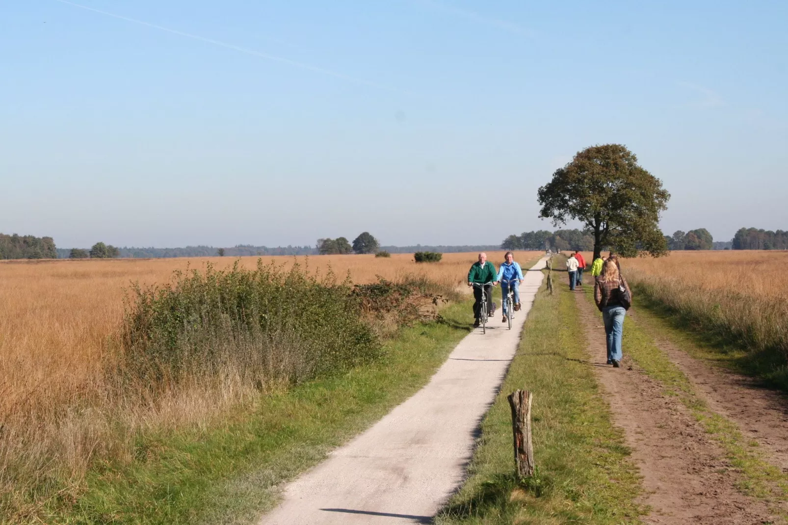 Marke van Ruinen 1-Gebieden zomer 5km