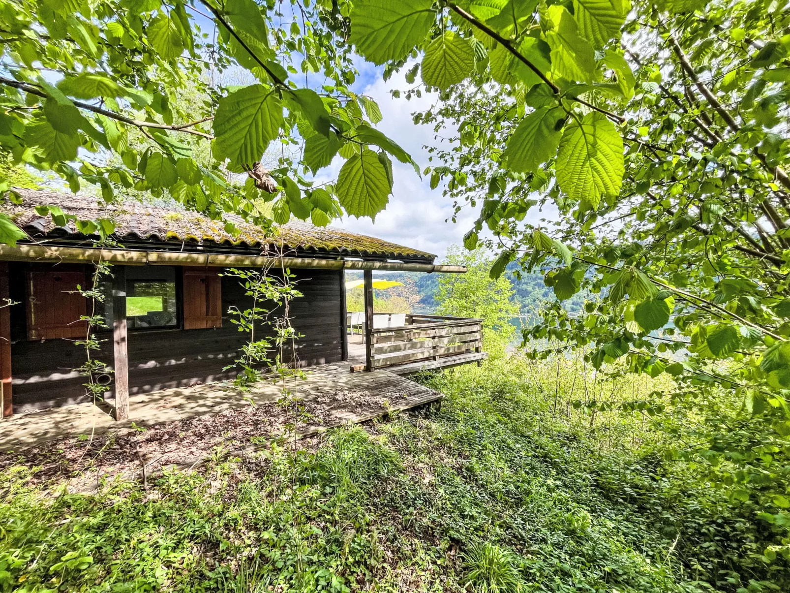 Häuschen am Waldrand-Buiten