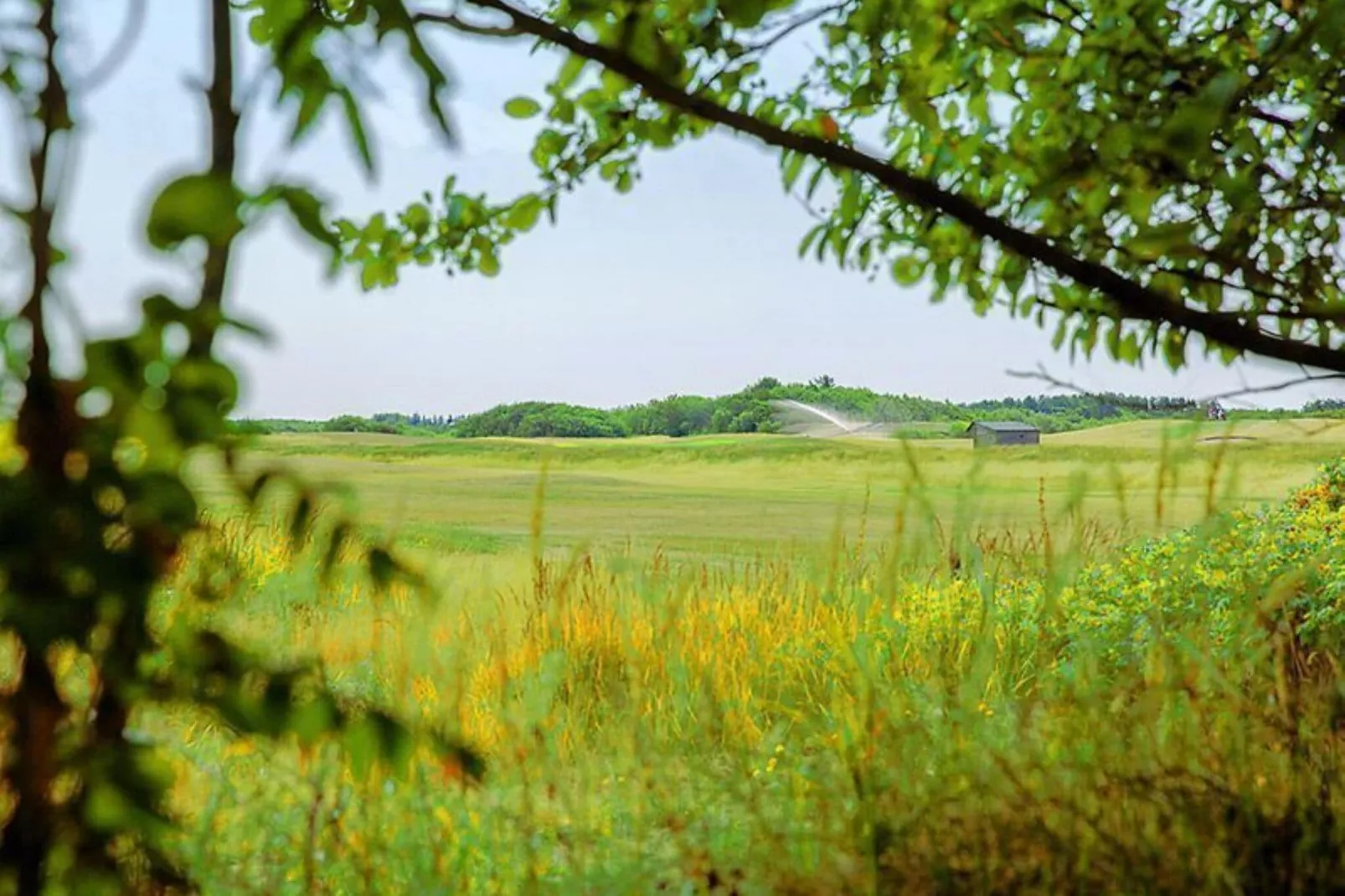 Golfvilla 38 comfort-Gebieden zomer 1km