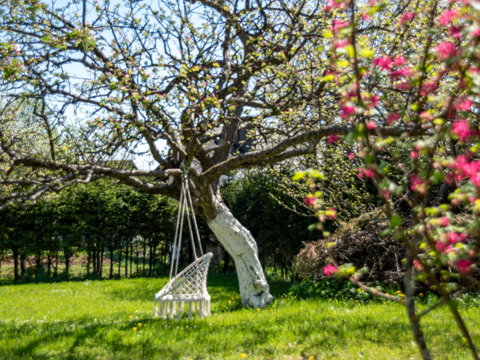 Relax & Play-Buiten