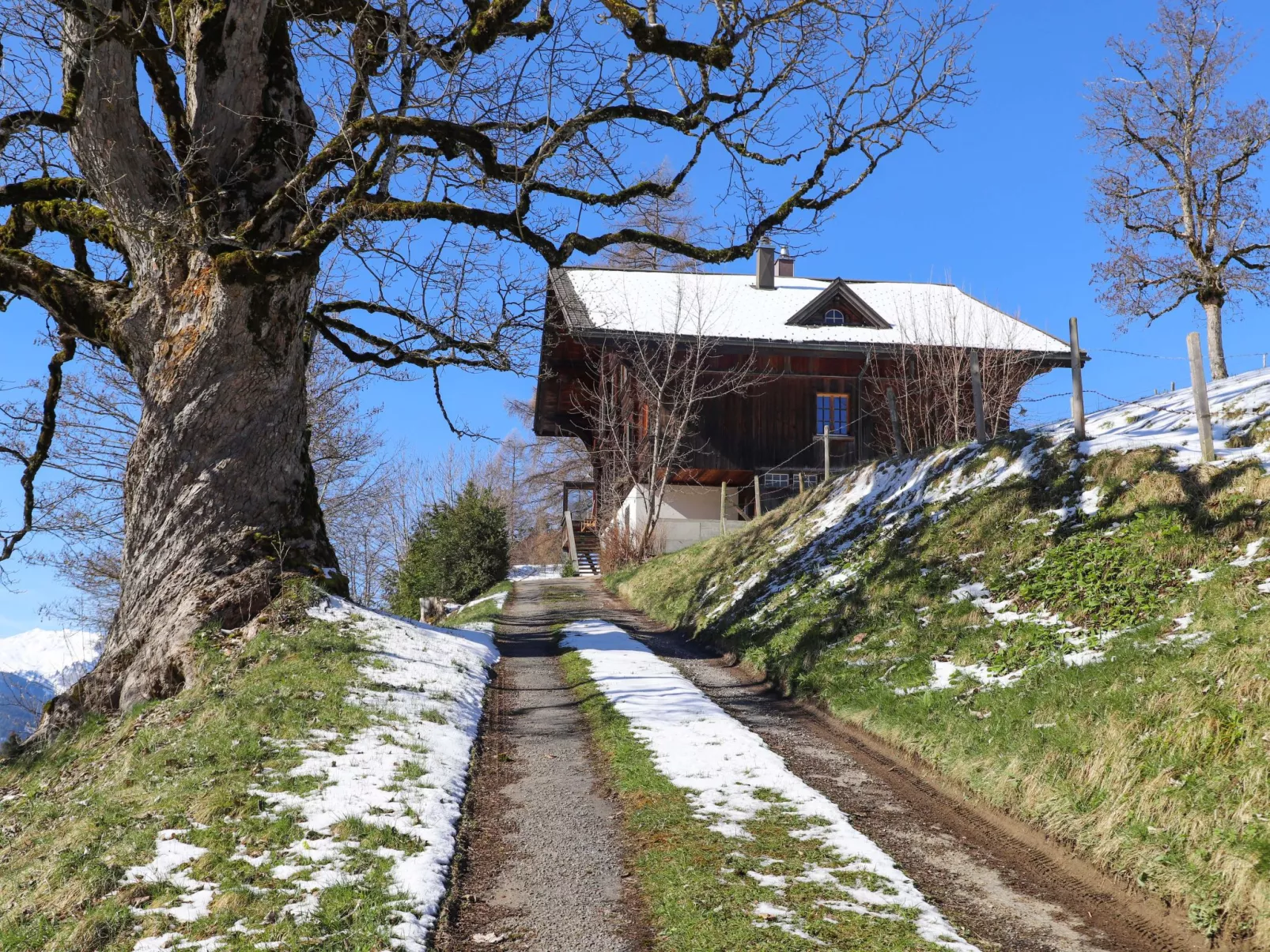 Chalet Ahorni-Buiten