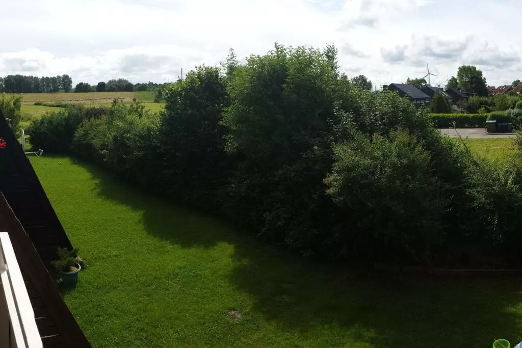 239782-Tuinen zomer