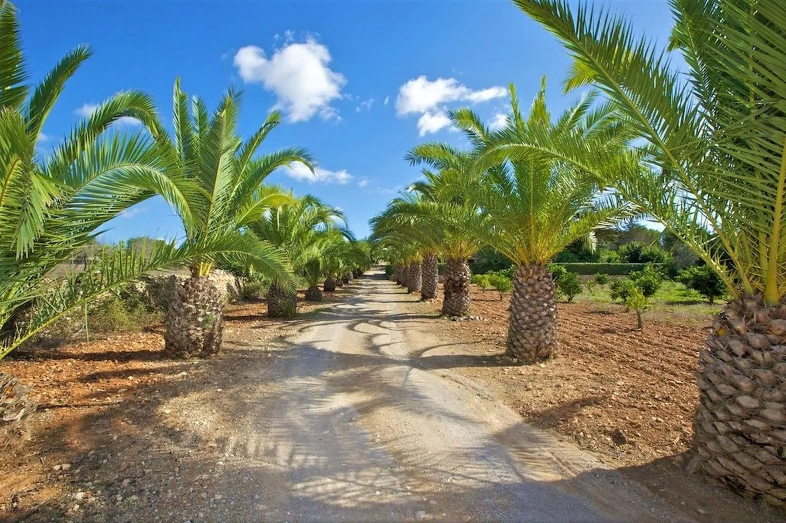 Villa Sa Torre - Es Pi-Tuinen zomer