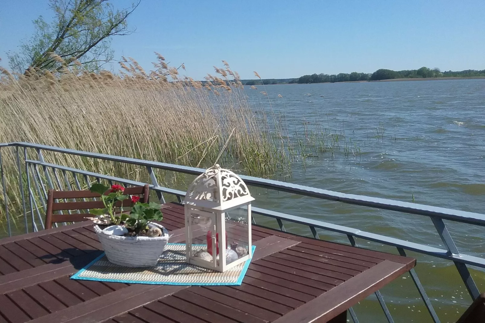 Bootshaus direkt am See mit eigenem Steg-Uitzicht zomer