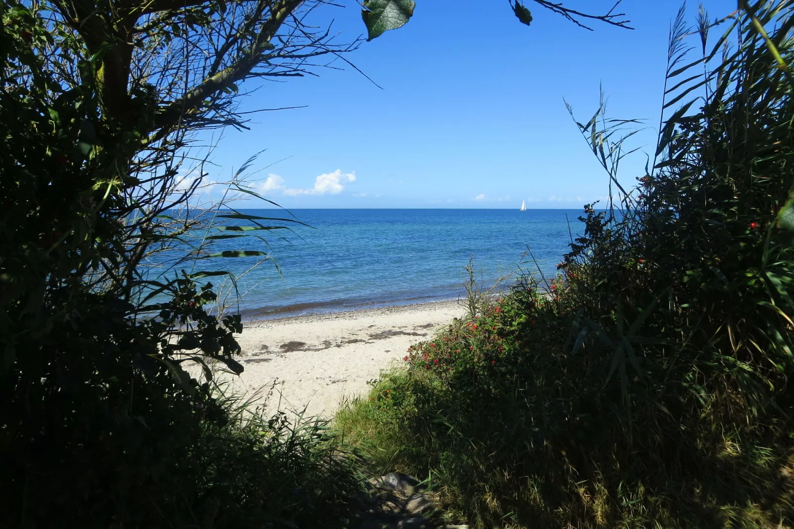 Sandkorn-Gebieden zomer 5km