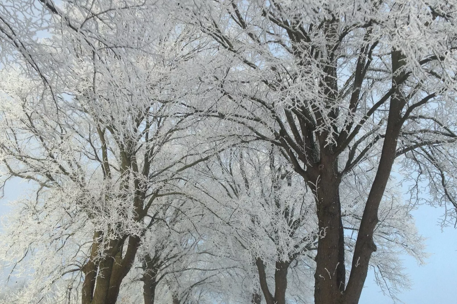 Sandkorn-Gebied winter 20km