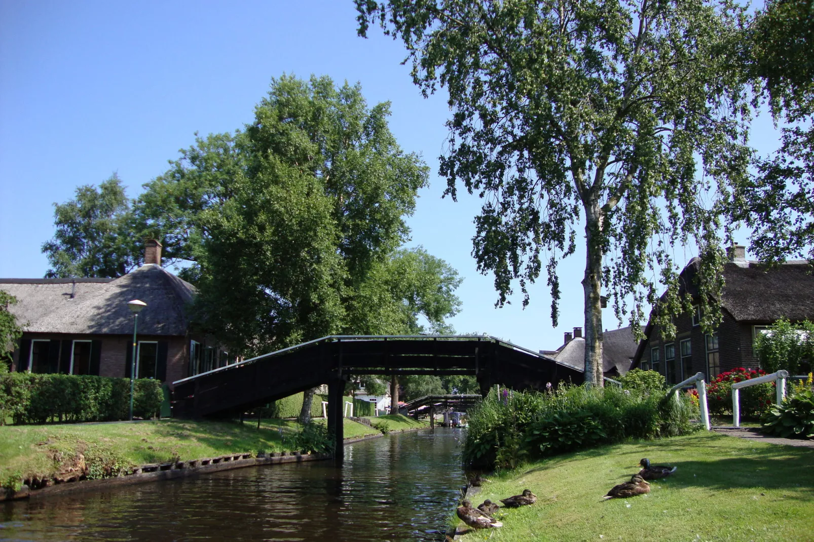 Residence De Eese 23-Gebieden zomer 20km