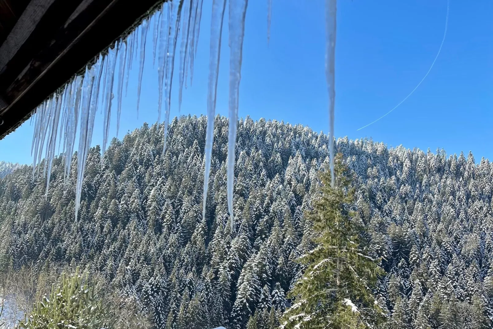 Schwarzwald-Uitzicht winter