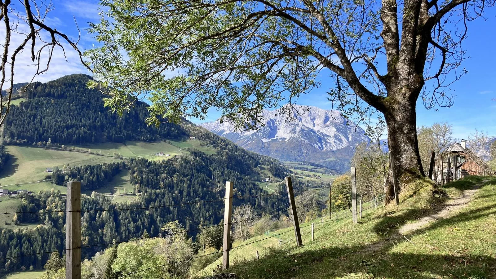 Ahorn Mountainlodge-Gebieden zomer 5km