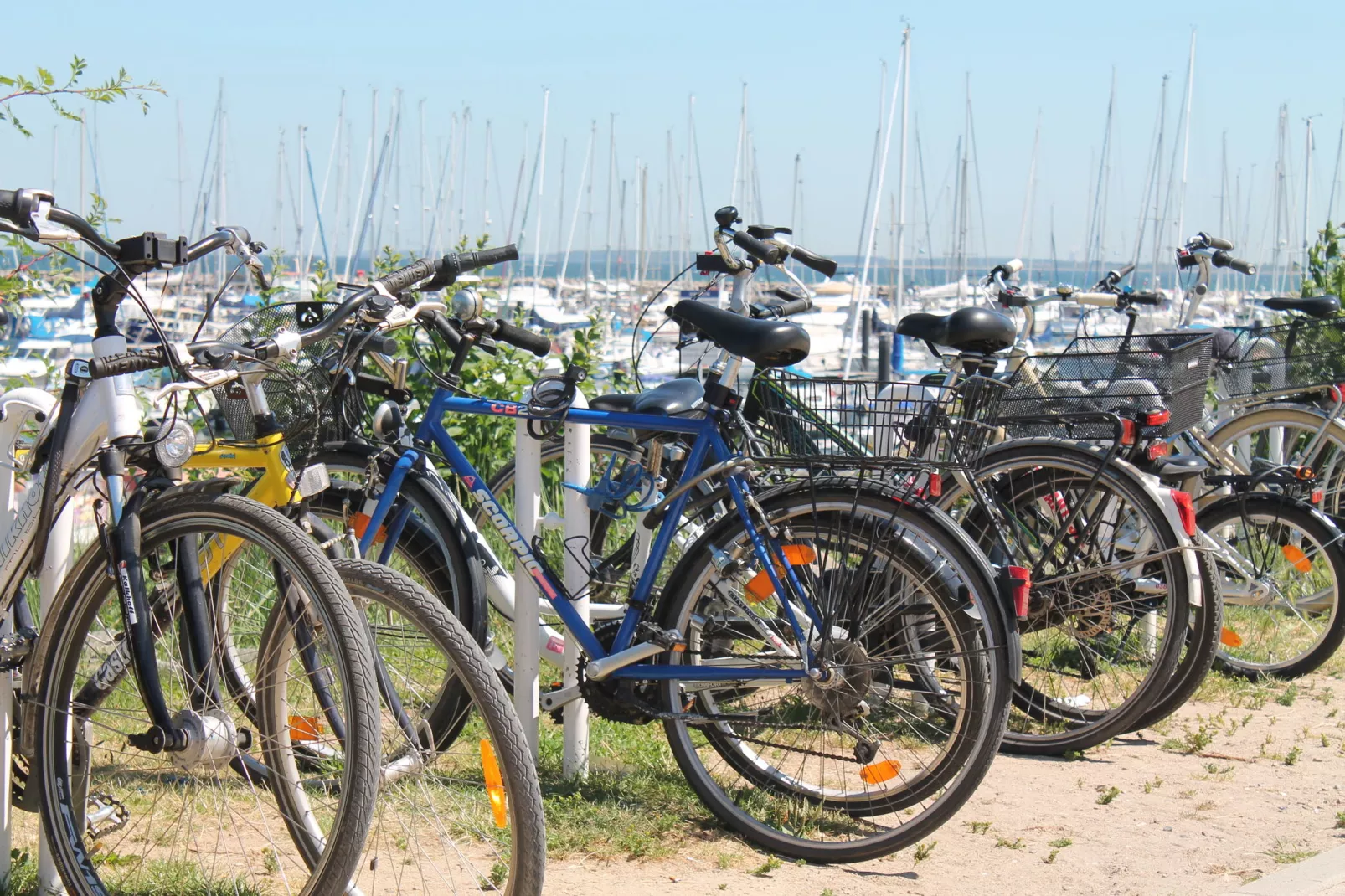 Kühlungsblick-Gebieden zomer 5km