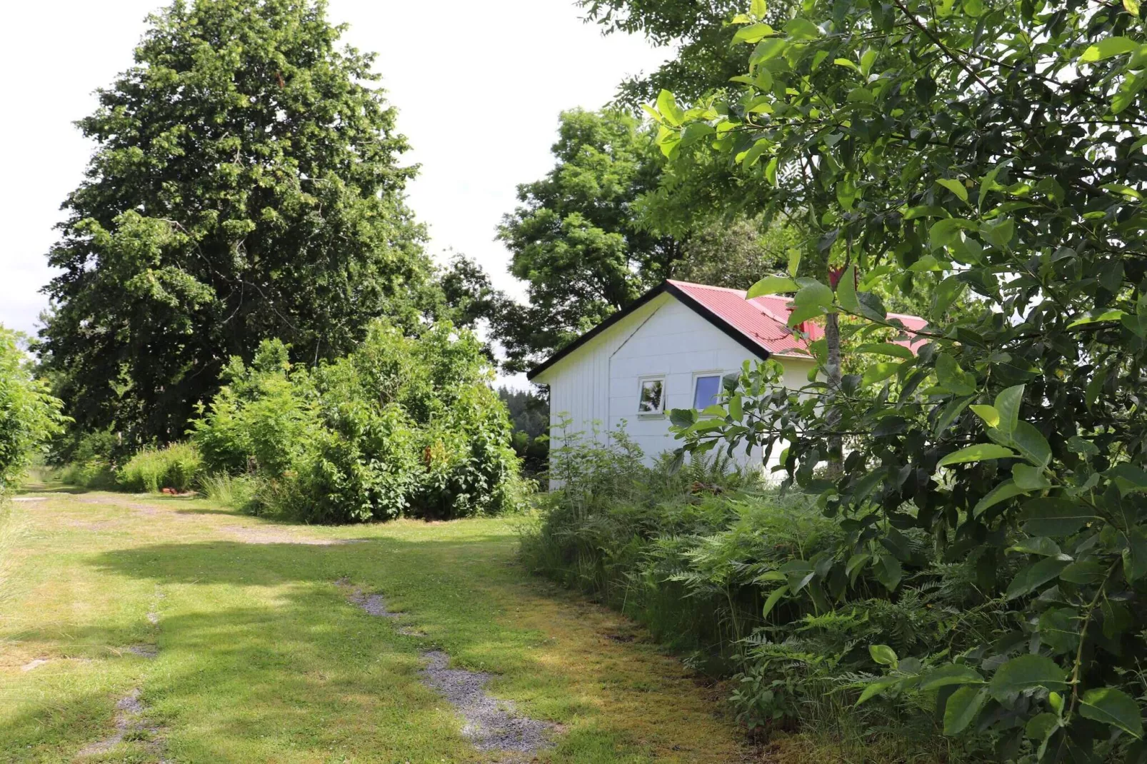 4 persoons vakantie huis in KARL GUSTAV-Buitenlucht