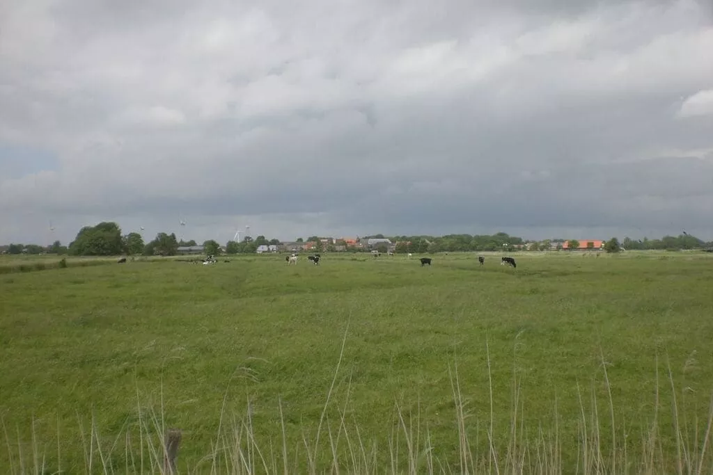 95077-Niet-getagd