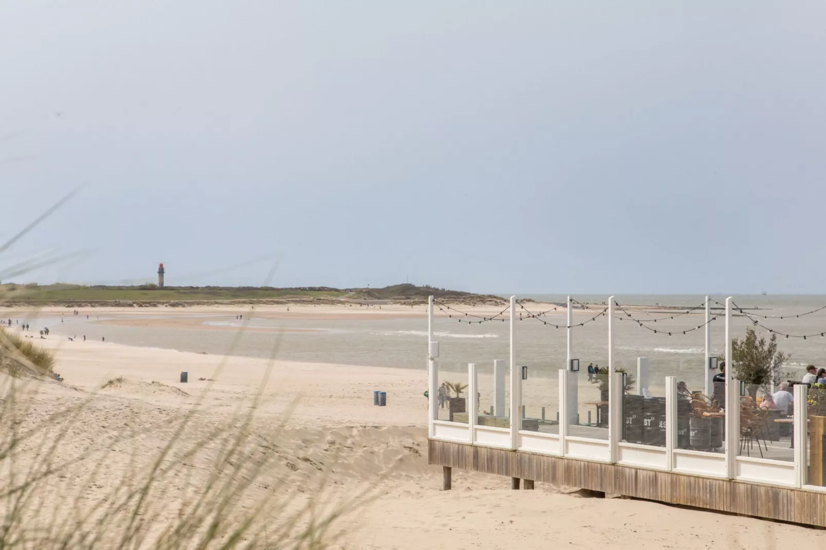 Vakantiehuis - Lepelblad 97-Gebieden zomer 1km